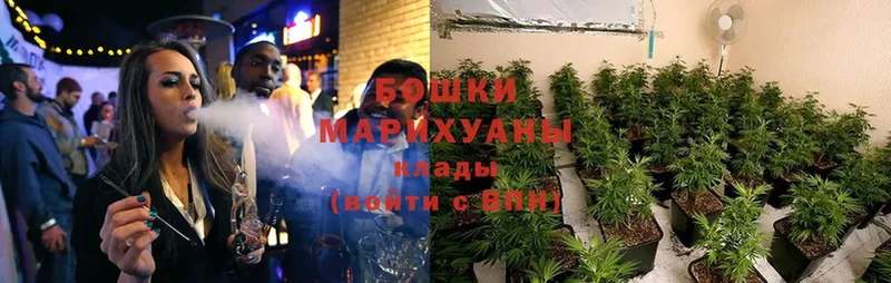 где можно купить наркотик  Покров  Канабис гибрид 